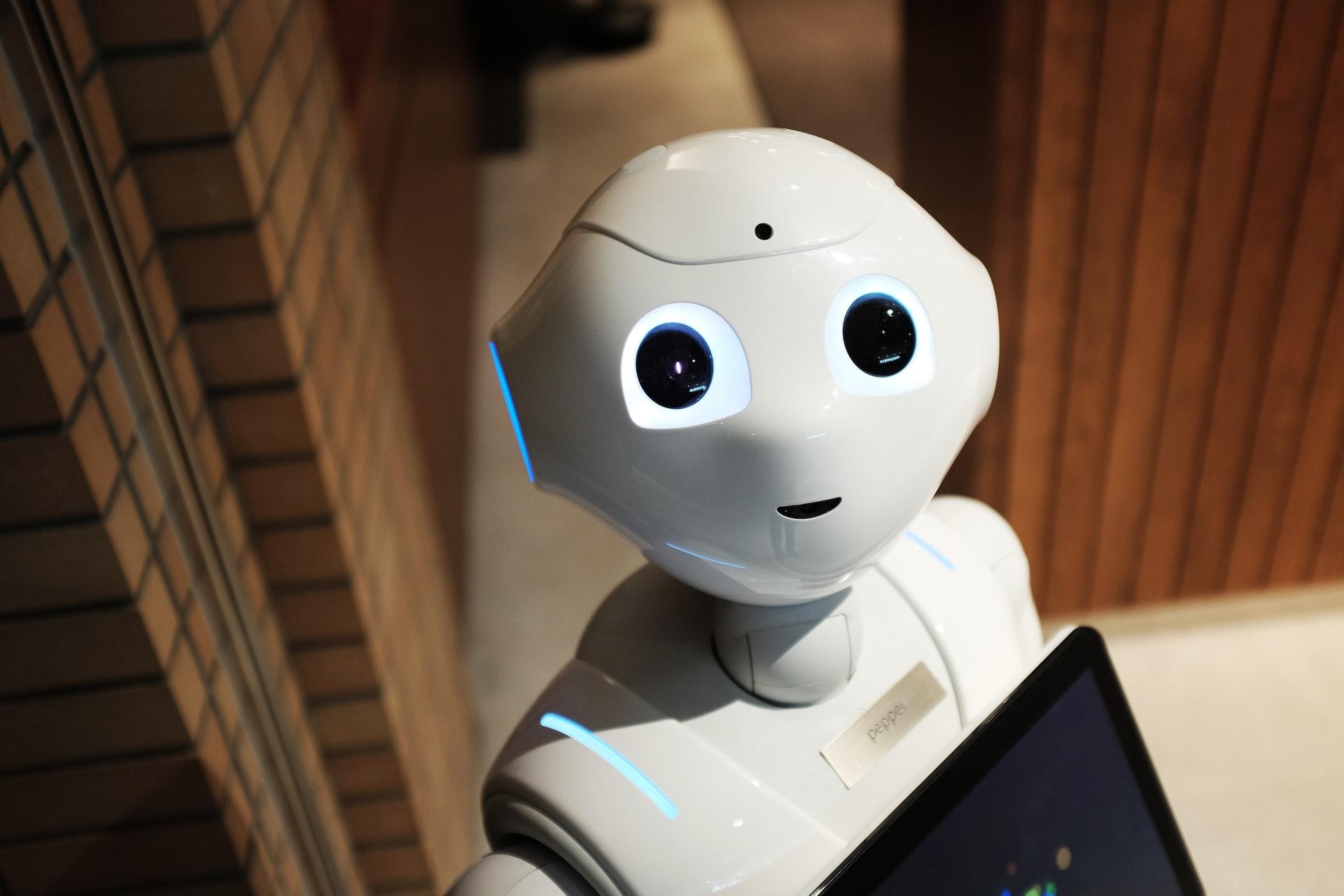 AI is eating humans for knowledge